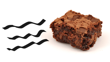 A Brownie in Motion. Brownie Credit: Ɱ. License: CC BY-SA 3.0