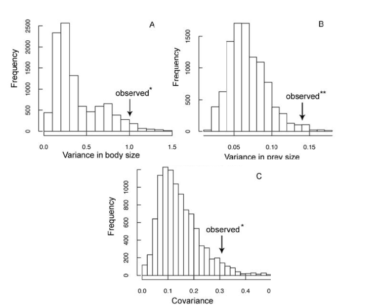 Figure 5.5: These histograms show the results of a simulation analysis of the data in Figure 5.4. Data were simulated according to a Brownian process and the key parameters estimated from the simulated data. What is readily apparent is that the data from the simulation are not representative of the real data (in each case the * notes that the result is statistically significant)