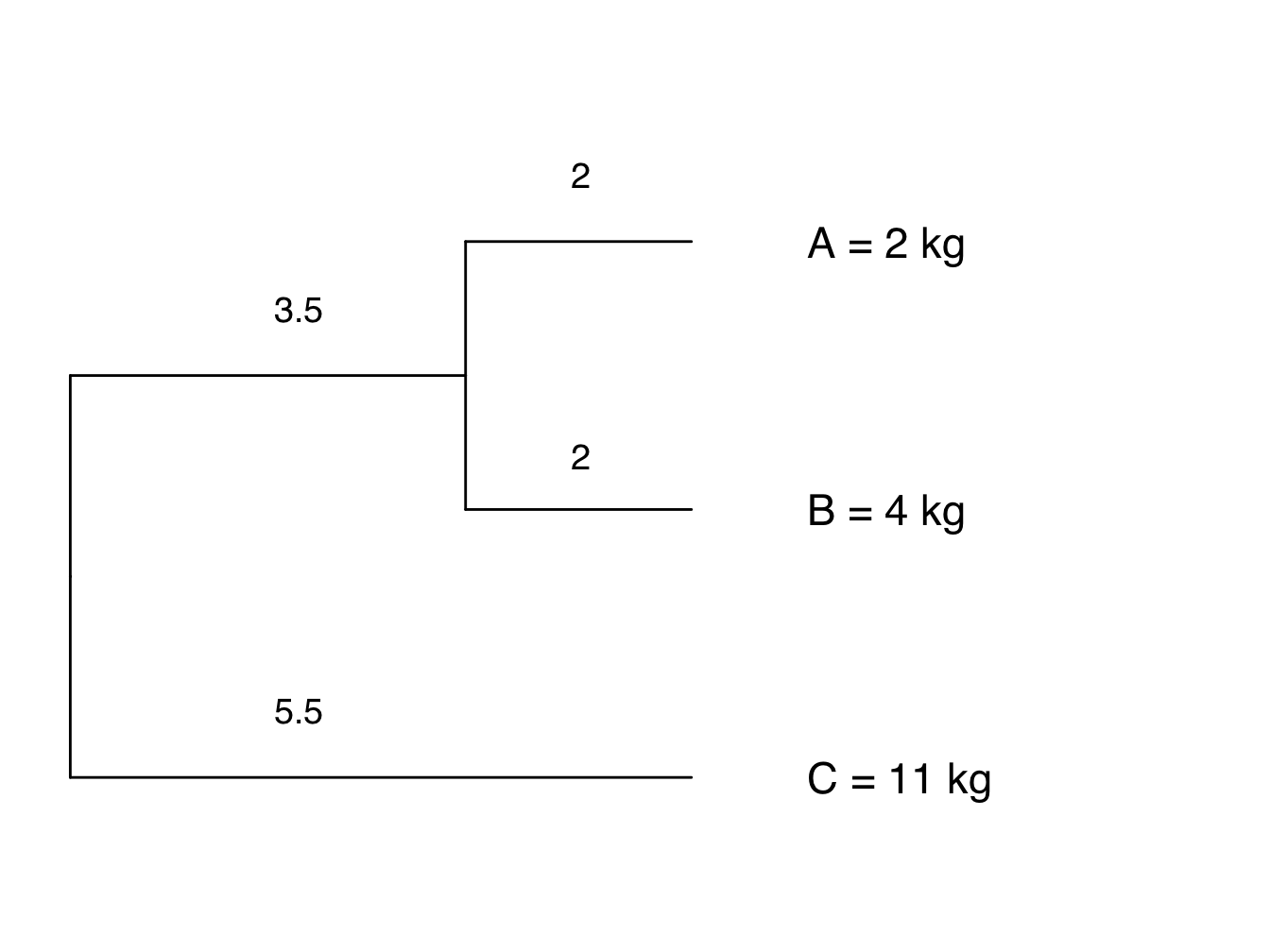 Phylogeny showing branch lengths and body size for each tip taxon