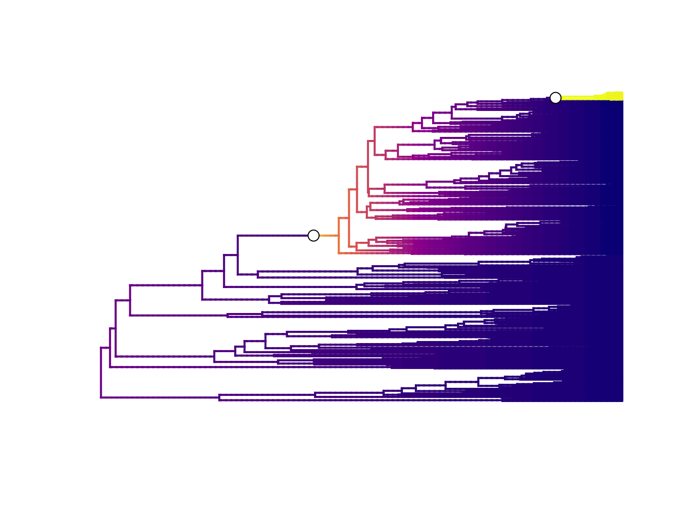 Best rate shift configuration from BAMM for dragonflies. Data from Letsch et al. 2016
