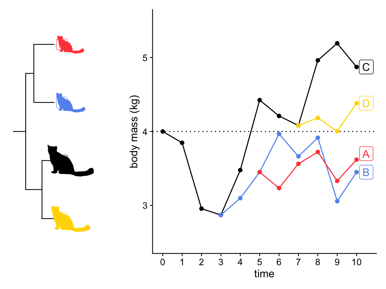 A simulation showing how the body mass of four lineages of cats changes through time under a Brownian model with $z(0) = 4 kg$ and $sigma^2 = 0.25$ (A), and the phylogeny of the cats (B). The size of the cats indicates the final body size of the lineage in the simulation.