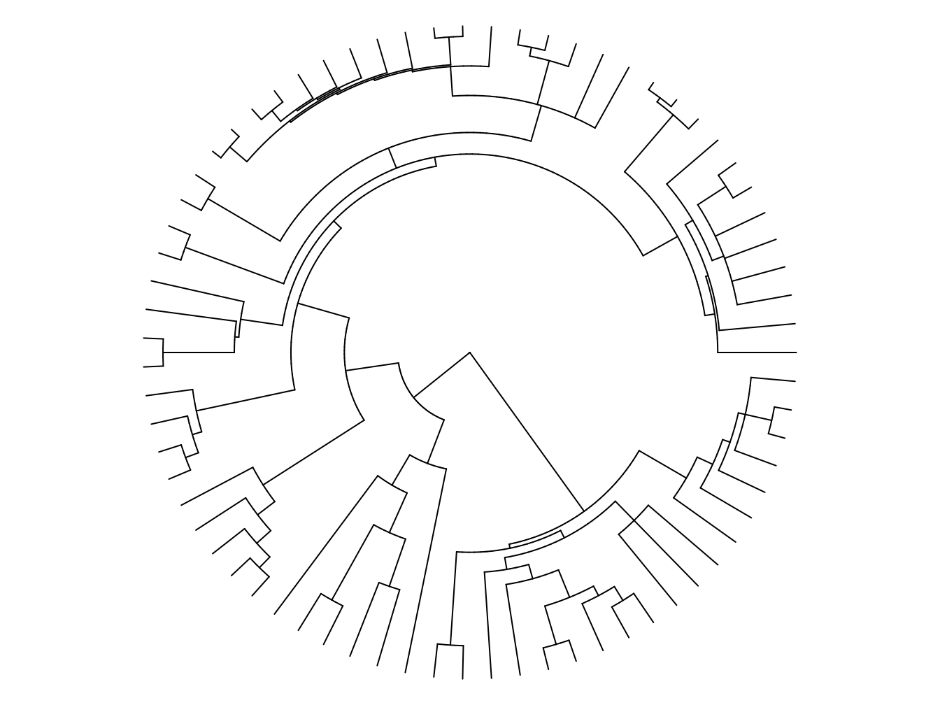 An example of a fan or circular phylogeny. Tip labels have been omitted to make it easier to see the shape of the tree.
