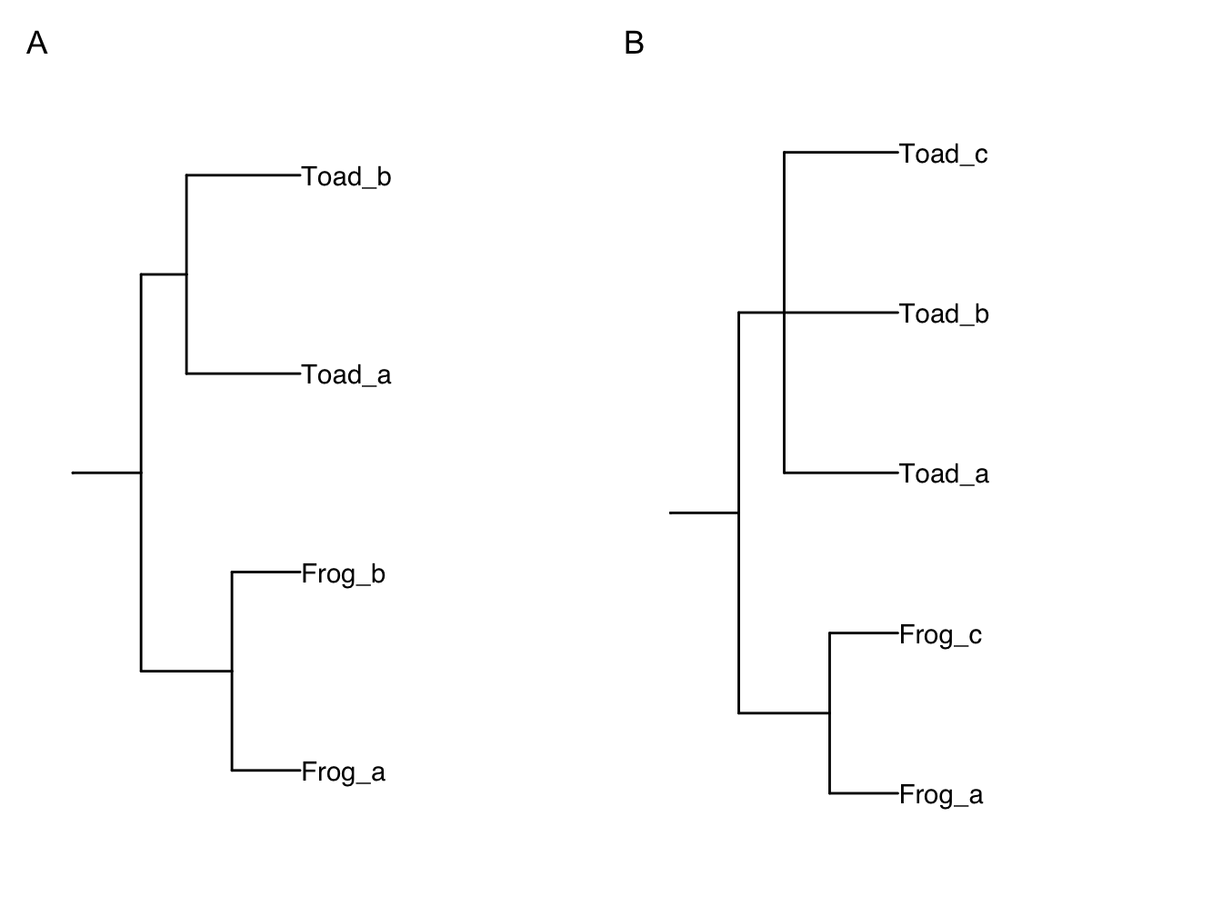 Initial (A) and modified (B) phylogeny for our simplified example.