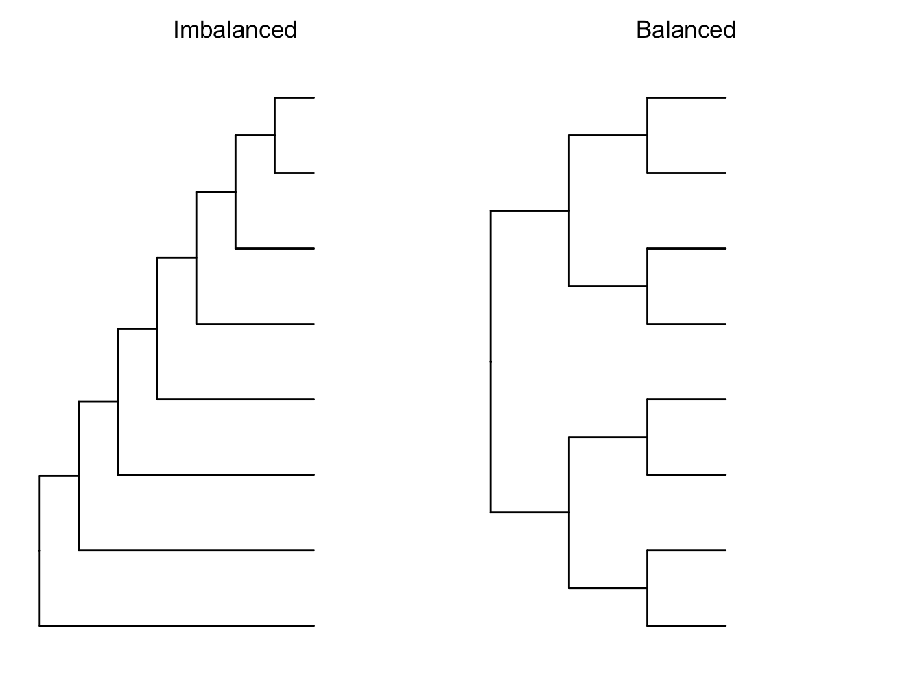 Imbalanced versus balanced phylogenetic trees.