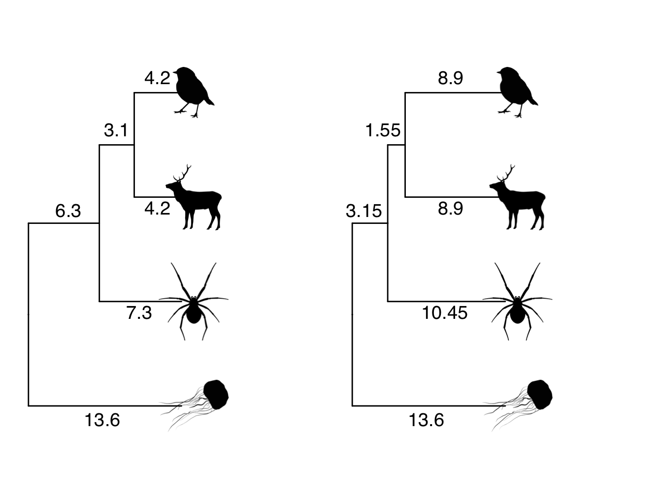 Phylogeny showing branch lengths in the original tree and a transformed tree where lambda = 0.5. The root-to-tip distances for each tip taxon are 13.6