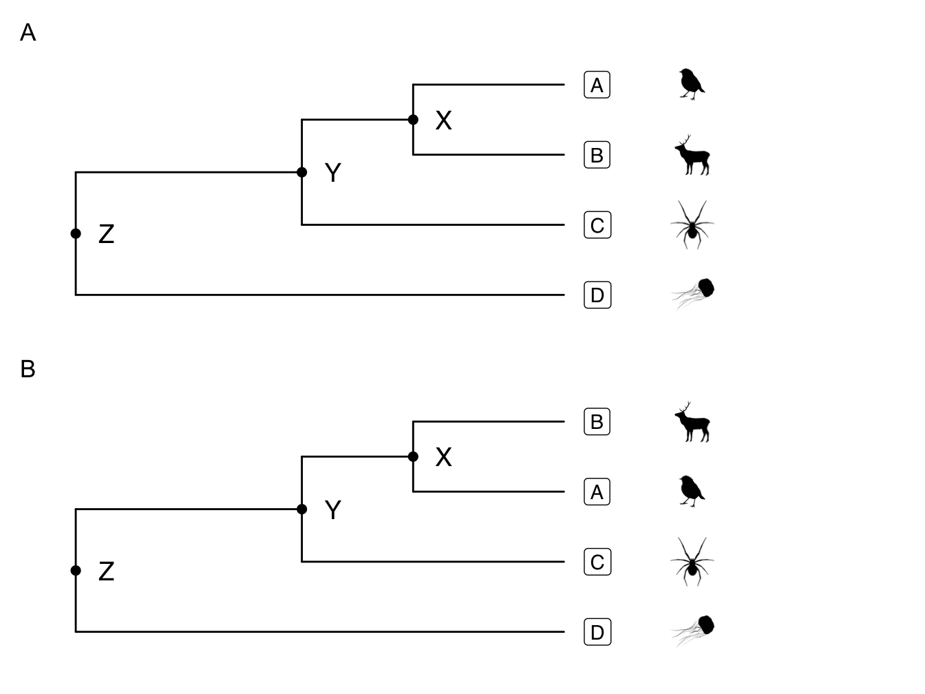 How to read a phylogenetic tree