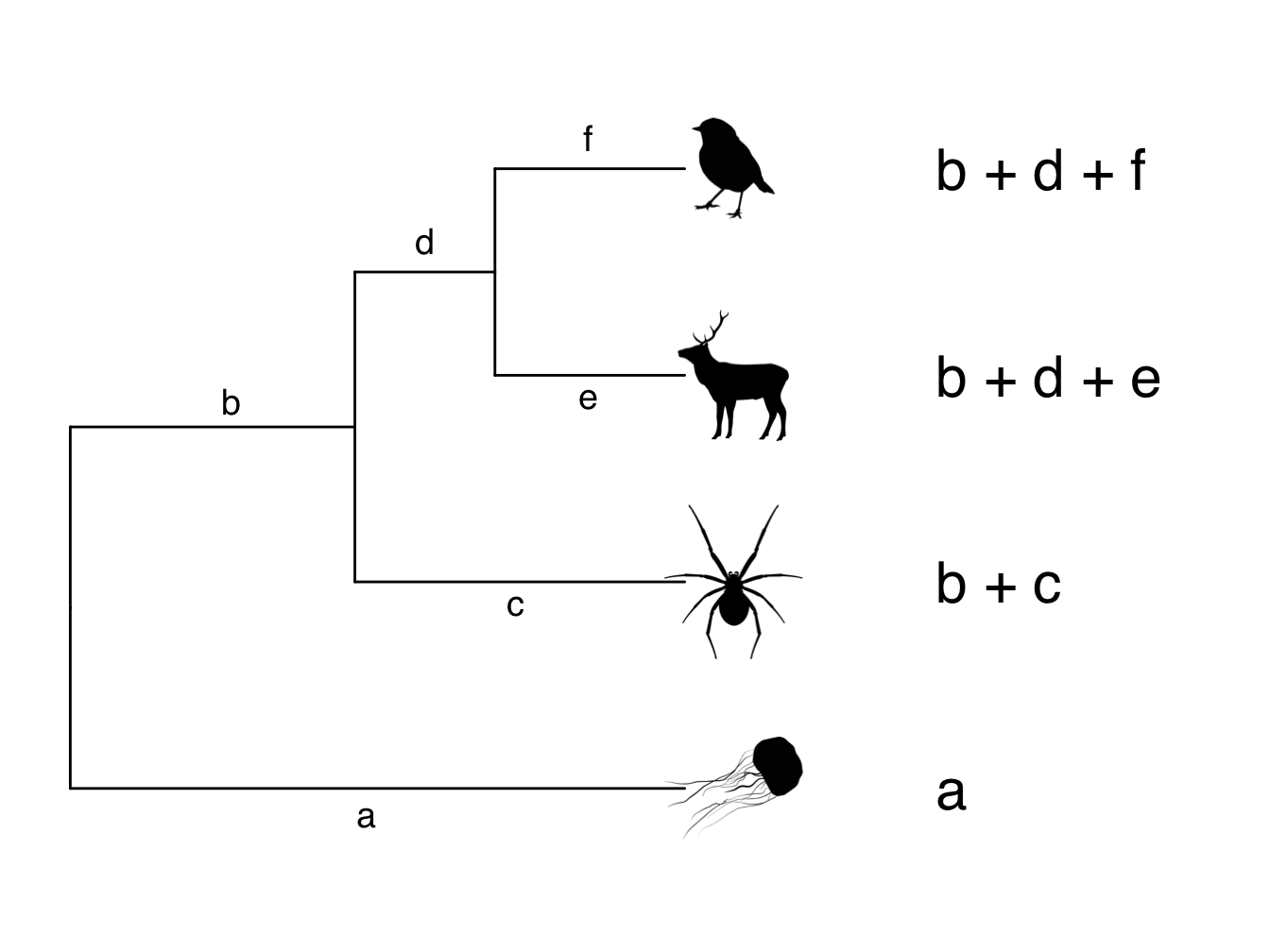 Phylogeny showing branch lengths and root-to-tip distances for each tip taxon